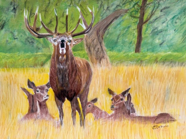 Roar of the Rutting Stag